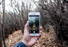 Watch Really Funny Animals Do Crazy Things